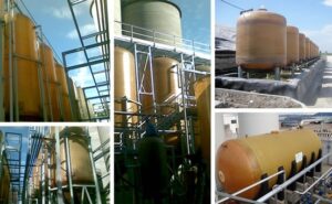 Immagine WhatsApp 2024-11-25 ore 11.41.33_b691e66c